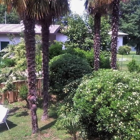 Residenza Agapanthus Villa Monvalle Ngoại thất bức ảnh